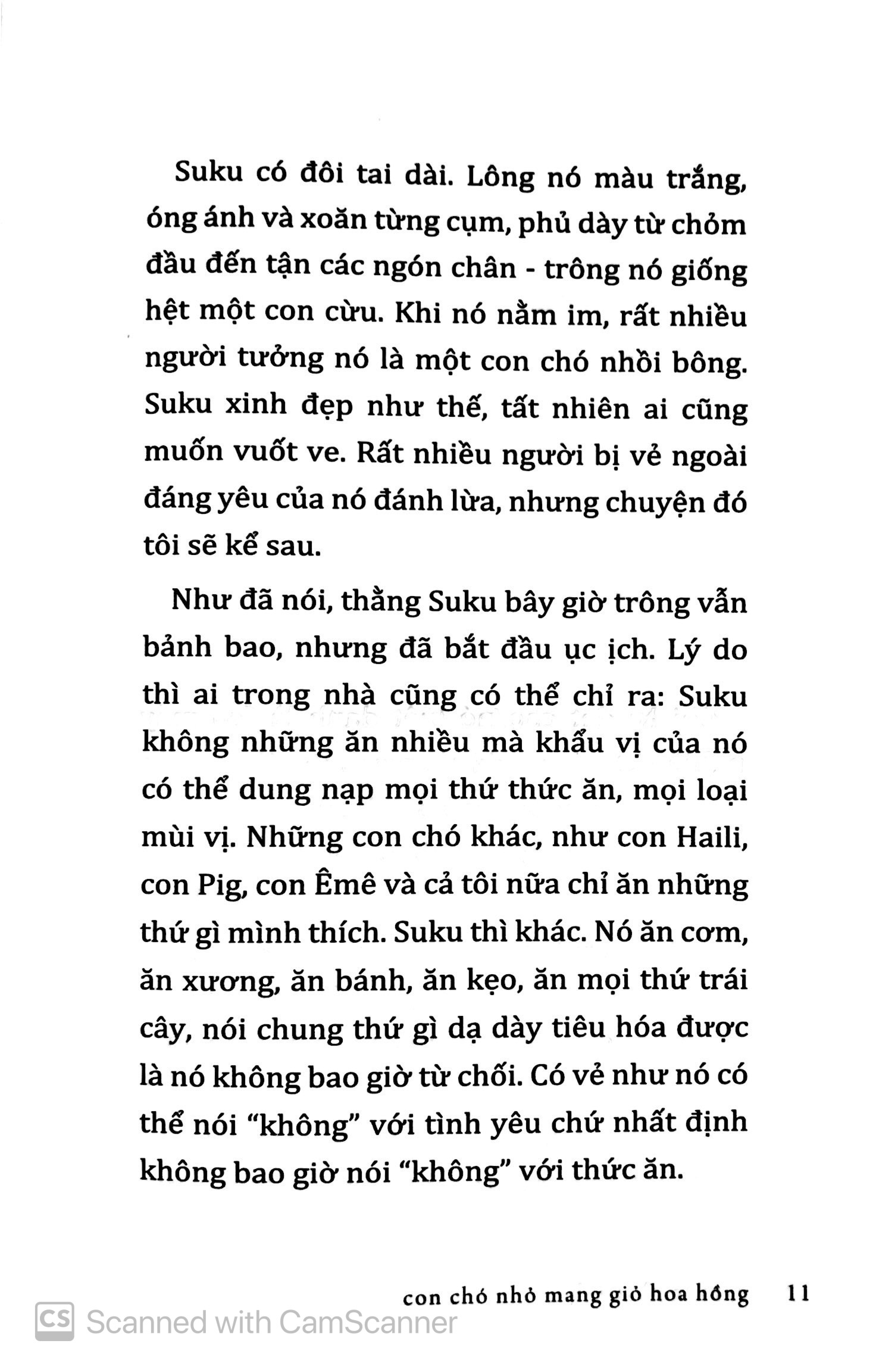 Con Chó Nhỏ Mang Giỏ Hoa Hồng ( Nguyễn Nhật Ánh )