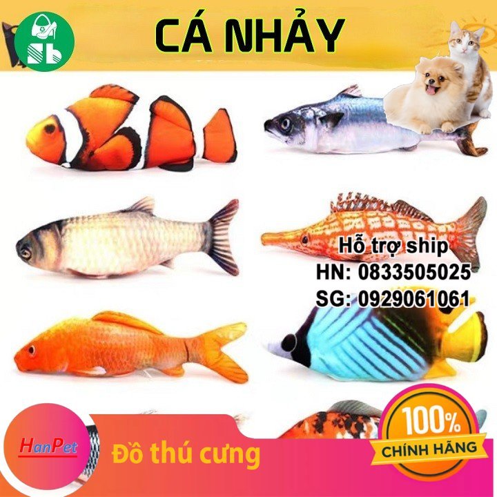 Hanpet - Cá nhảy 3D quẫy đuôi theo nhạc - Cá nhảy 3D Tiktok - Cá nhảy điện tử Đồ chơi cho mèo
