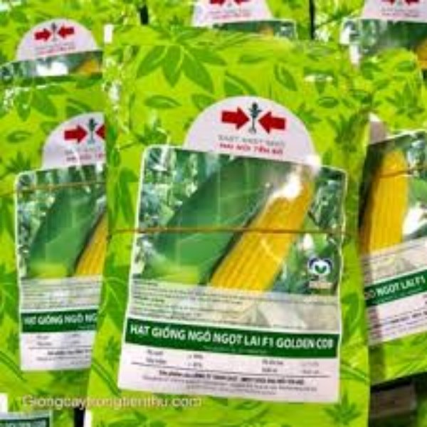 Hạt Giống Ngô Ngọt - Bắp Mỹ F1 Hai Mũi Tên. Túi 500 Gram - Chuẩn Giống - Chất Lượng Cao.
