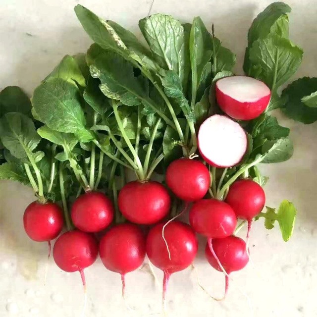 150 Hạt Giống Củ Cải Cherry Đỏ