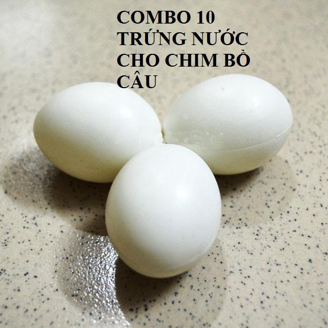 [COMBO 20] TRỨNG NƯỚC CHO CHIM BỒ CÂU