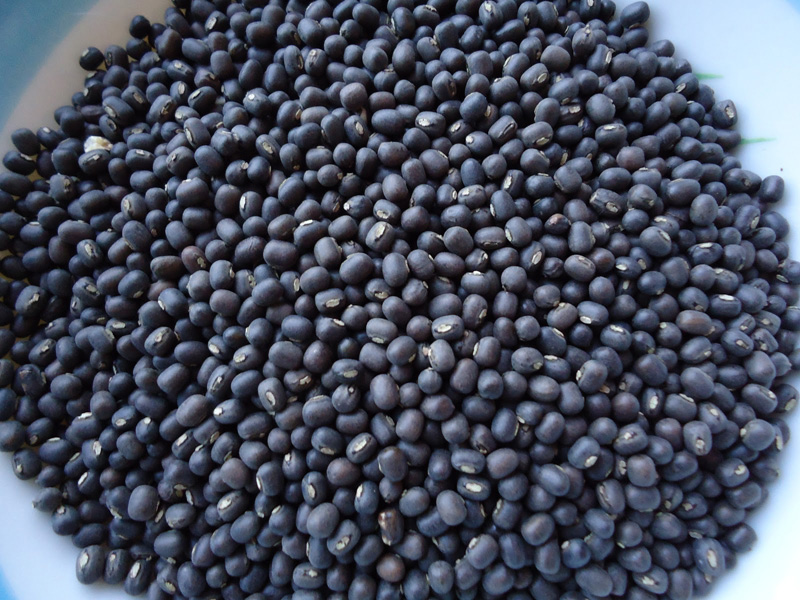 Urad daal Black (Whole) (500g - 1kg)