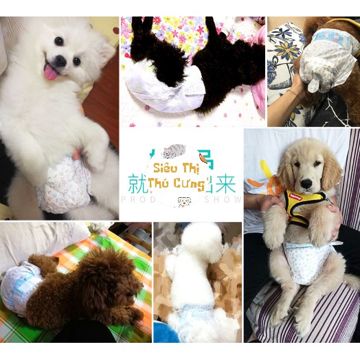 [Mã PET20K giảm 20K đơn 250K] tã / bỉm dành cho bé gái cún ( chó mèo ) bịch 10 miếng
