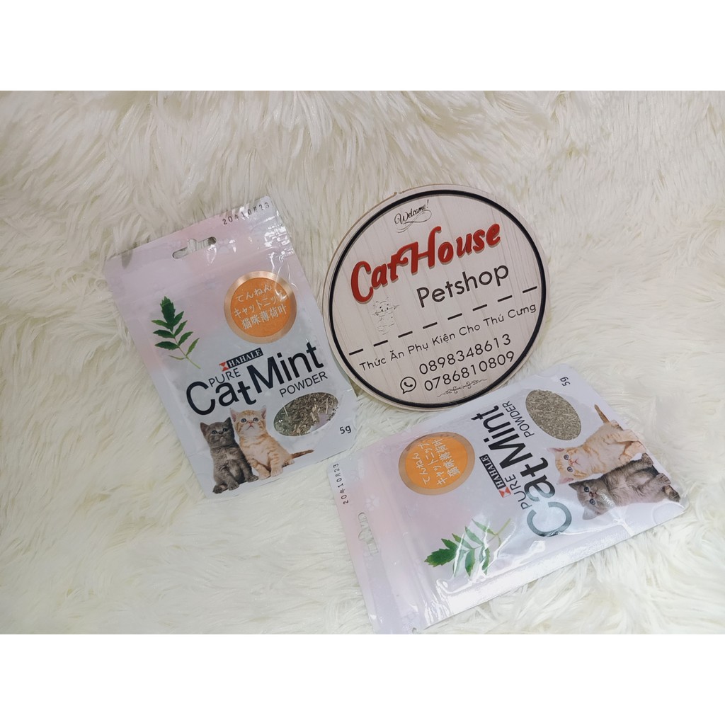 [HCM]Cỏ Bạc Hà Catnip Dành Cho Mèo