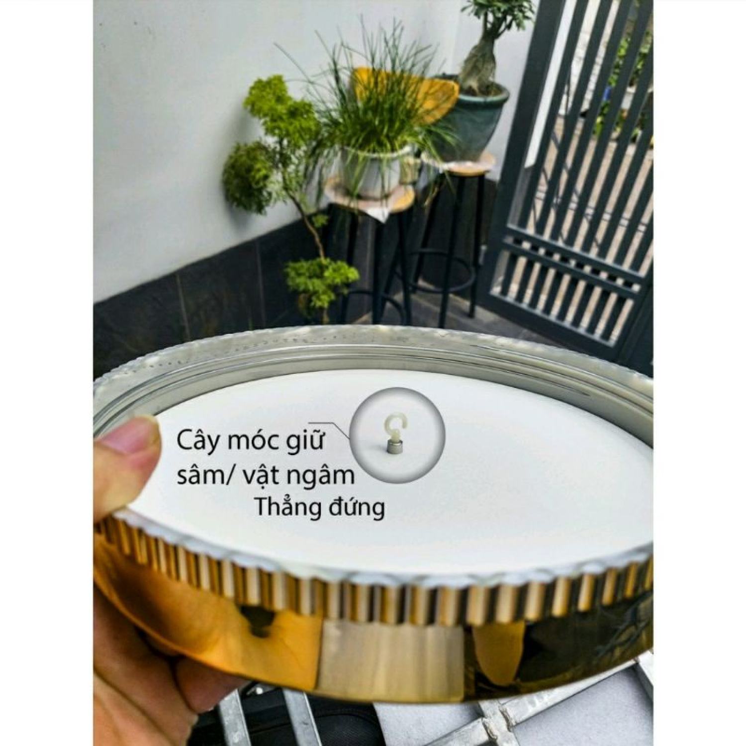 Bình ngâm rượυ cao cấp 3 lít Hàn Quốc YongCheon