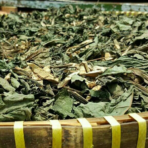 100g lá mật gấu