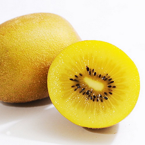 Cây giống KIWI RUỘT VÀNG.