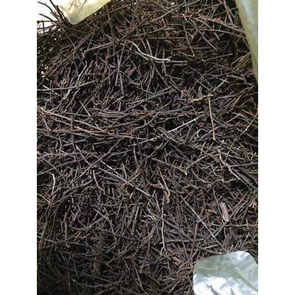 Dớn cọng trồng lan 100gr ( thoáng, giư ẩm tốt, ít mục)