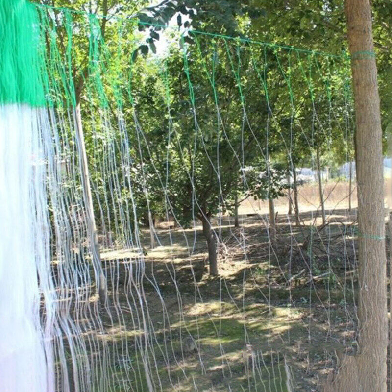 Giàn lưới hỗ trợ trồng cây dây leo 2x100m