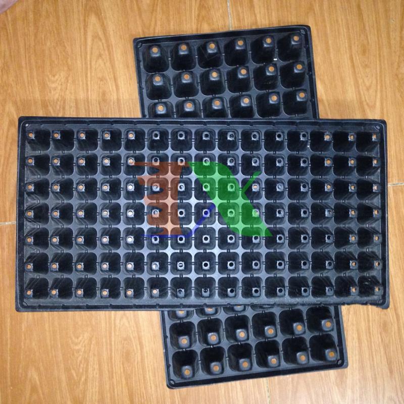 Set 10 tray nursery tree, nursery tray beads, blister ươm (105 holes) (black)