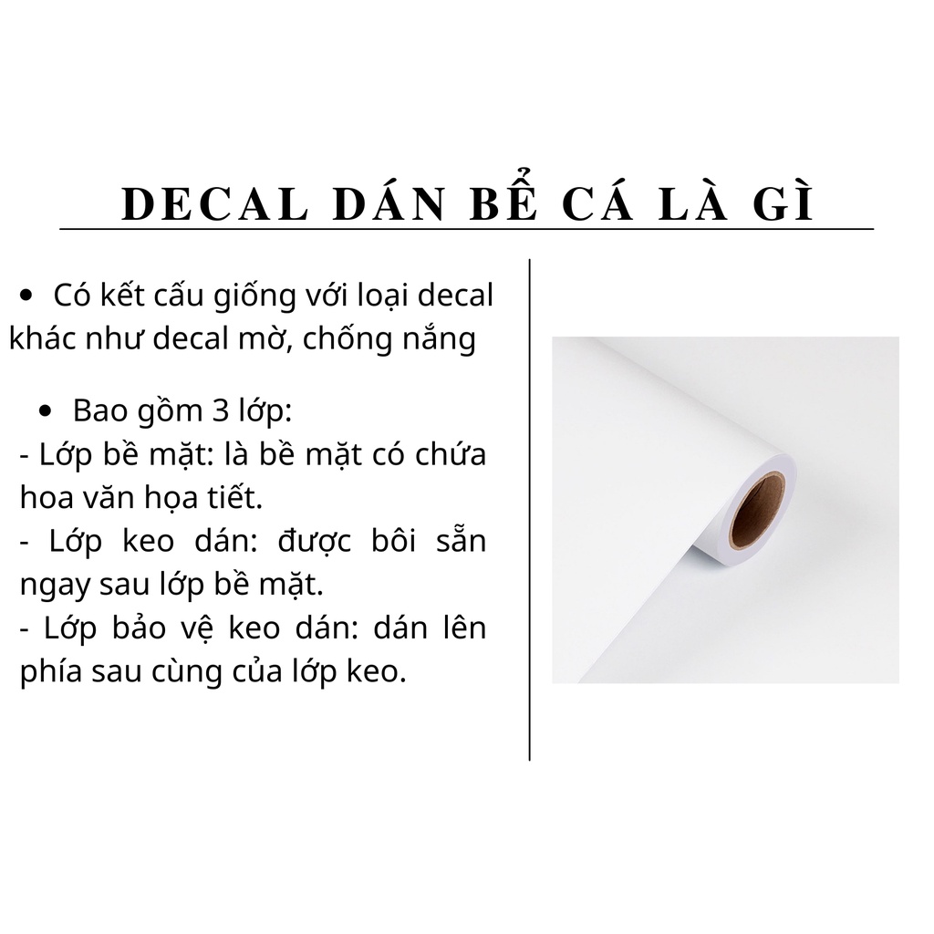 Tranh 3D dán đáy bể cá cảnh
