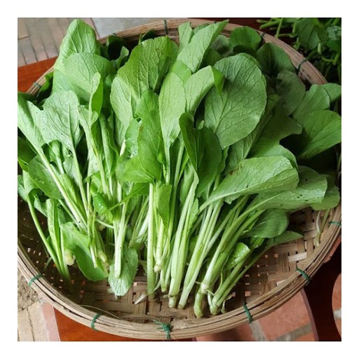 HẠT GIỐNG RAU CẢI NGỌT - h2t farm