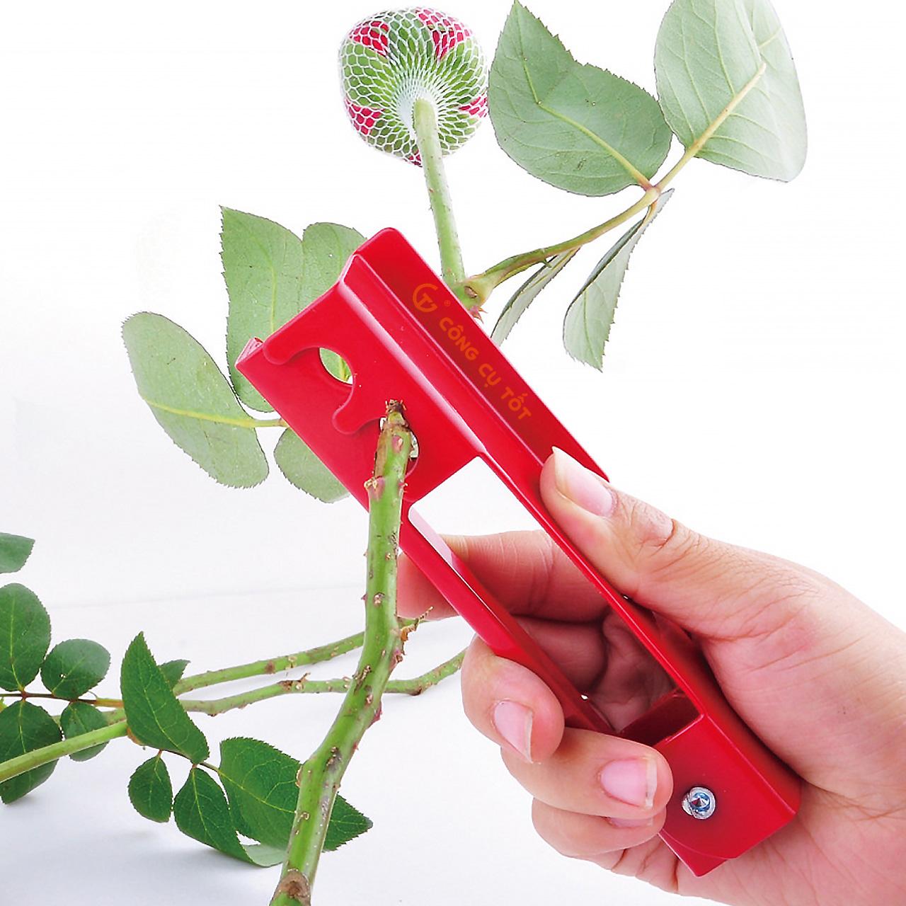 Dụng cụ tuốt gai và lá hoa hồng