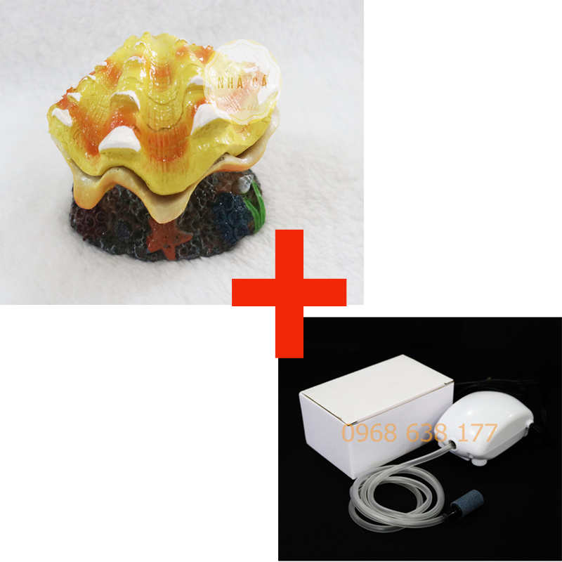 SỦI OXY HÌNH DÁNG NGỌC TRAI BIỂN XANH - TRANG TRÍ TIỂU CẢNH HỒ CÁ - SỦI TRANG TRÍ BỂ CÁ