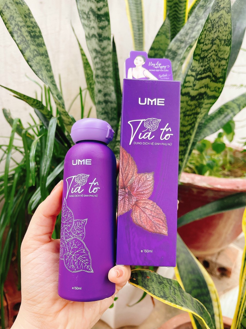 DUNG DỊCH VỆ SINH PHỤ NỮ UME TÍA TÔ