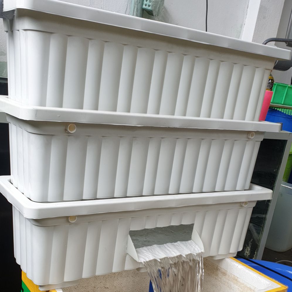[HCM]dàn 3ky lọc hồ cá