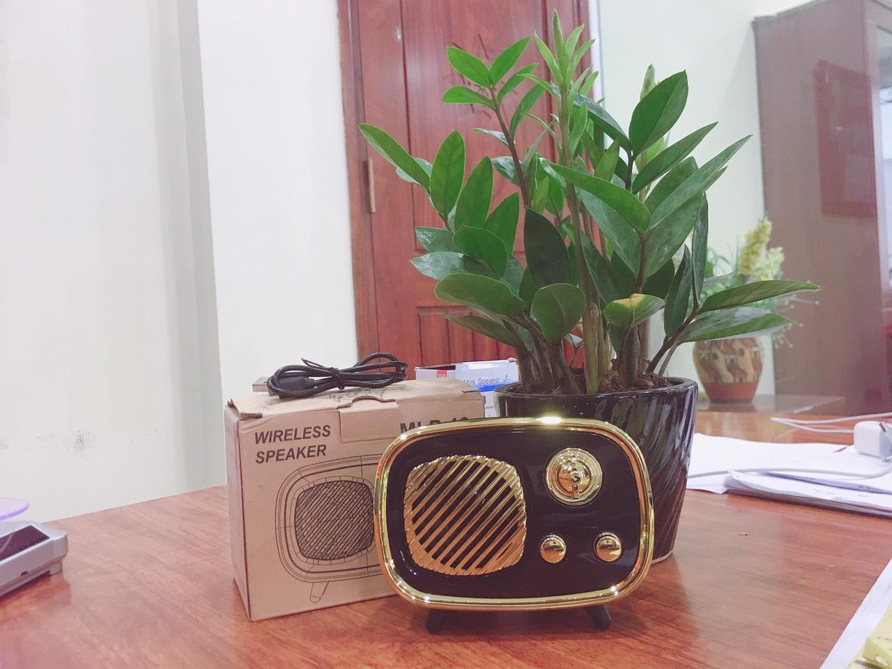 Loa bluetooth kiểu dáng Radio độc đáo -  MLP 19