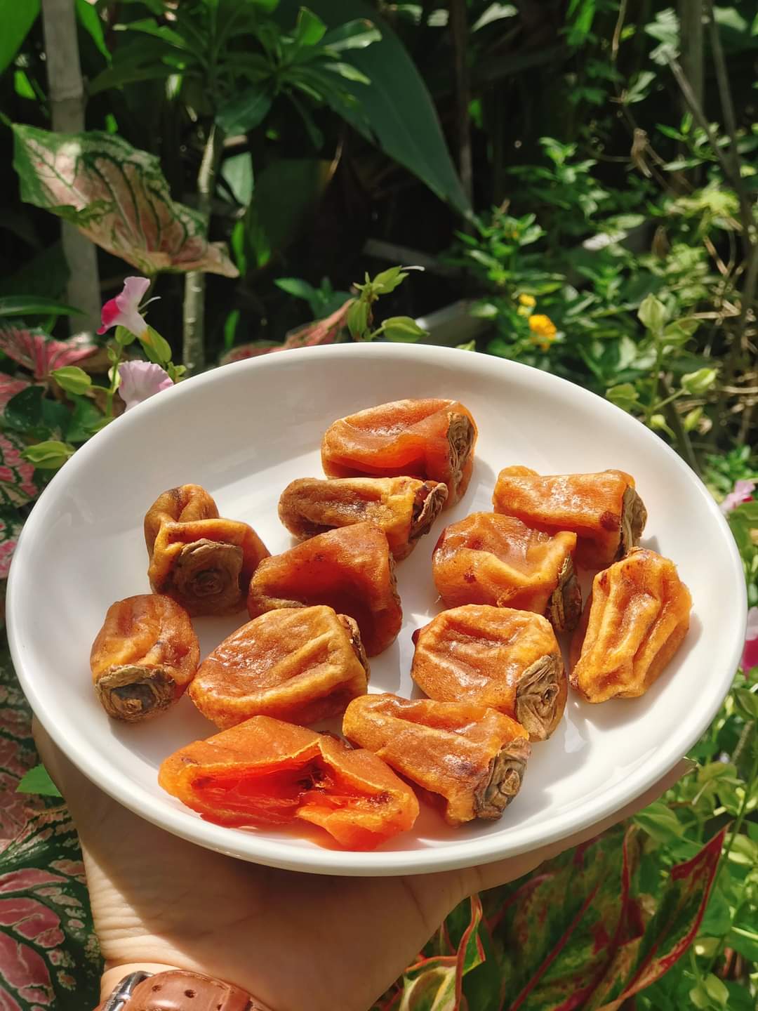 Hồng Treo Gió Dran Đơn Dương Lâm Đồng