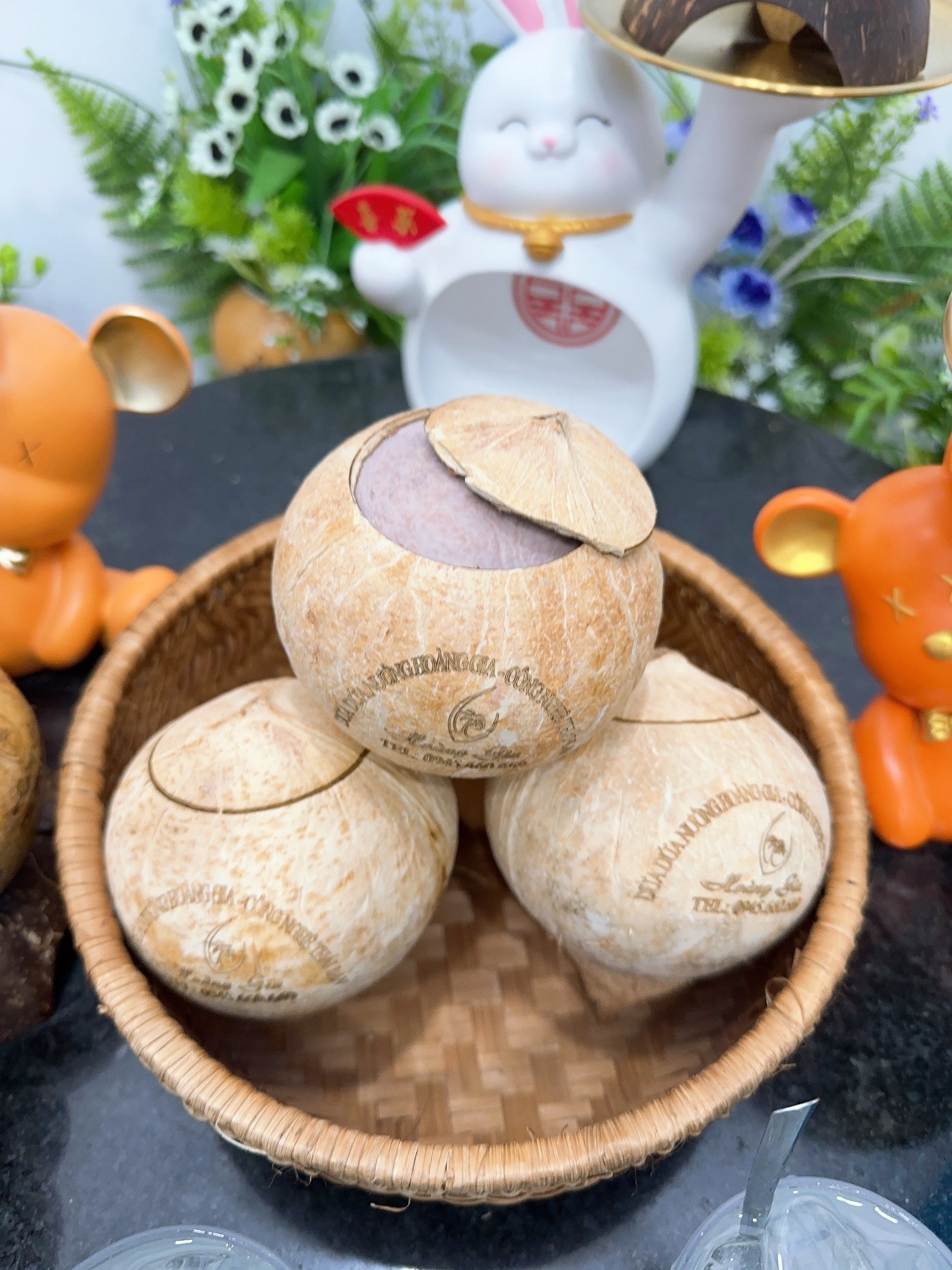[COMBO 3 TRÁI] Dừa nướng Hoàng Gia size M(400-600g)
