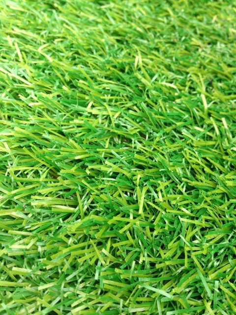 Thảm Cỏ Nhân Tạo Hàng chuẩn 2cm