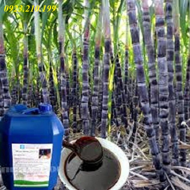 Rỉ mật đường 1kg