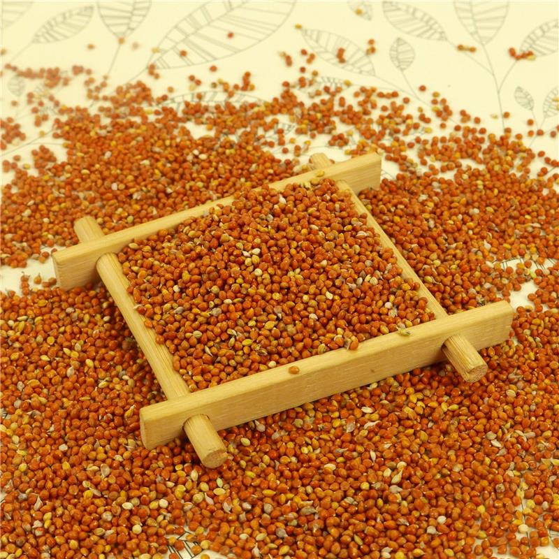 Hạt kê đỏ nhỏ gói 500g