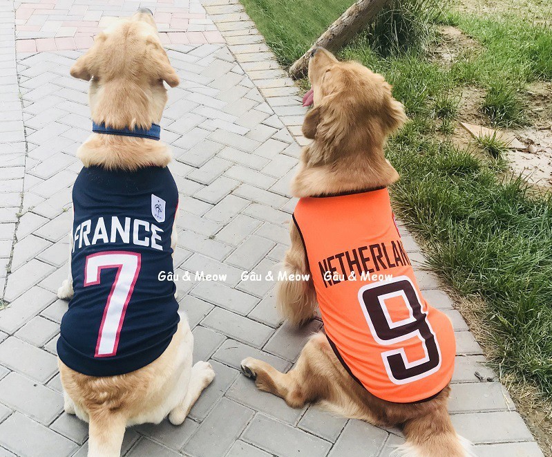 Áo thun cho chó lớn áo thun thể thao đội bóng big size 12 - 55kg Alaska Husky Golden Becgie Chow chow Corgi Samoyed Rotweiler