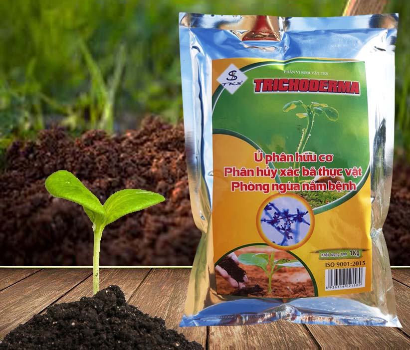 [1 Kg] NẤM TRICHODERMA 5 Chủng Nấm: Ủ Phân Hữu Cơ, Cải Tạo Đất, Phòng Nấm Bệnh Hiệu Quả