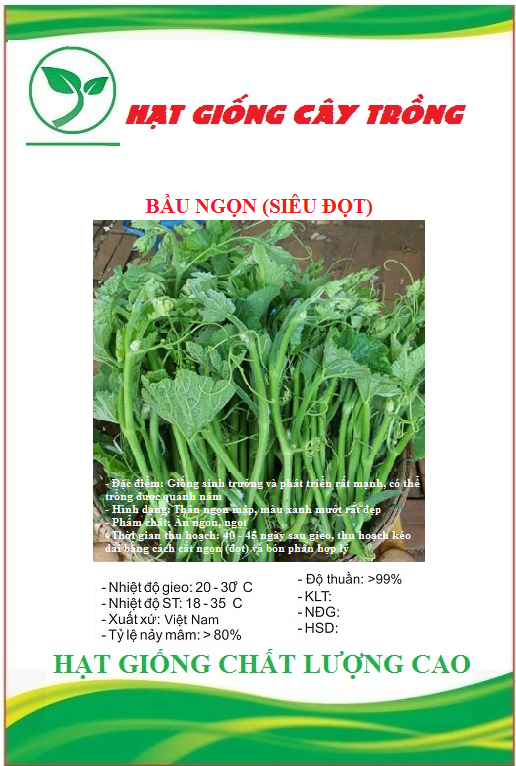 Hạt Giống Bầu Ngọn (Siêu đọt) CT529 - Gói 5gram