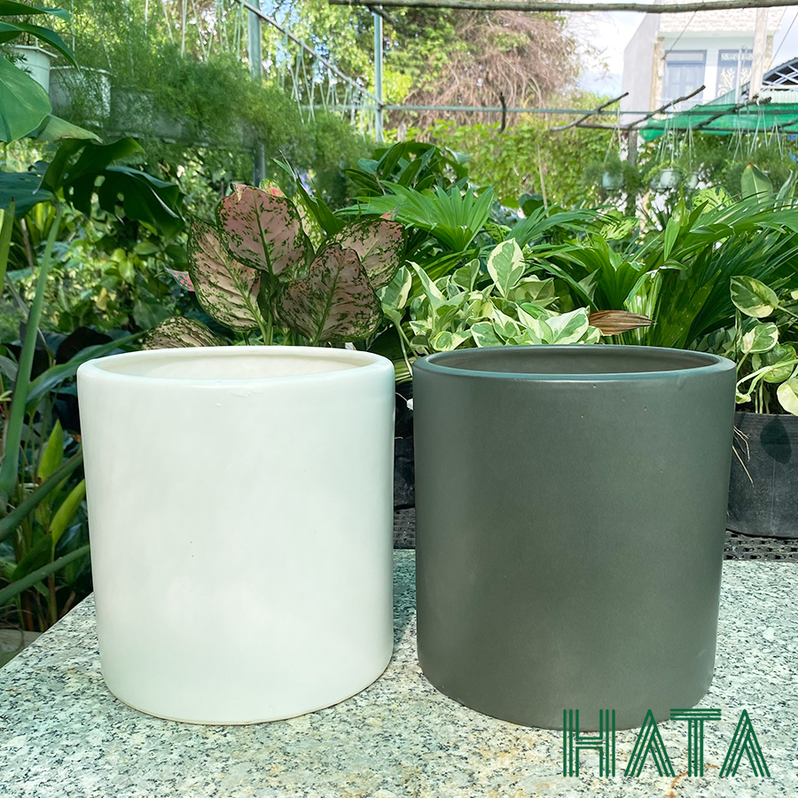 Chậu gốm sứ trụ 18 trắng và đen. Hatagarden