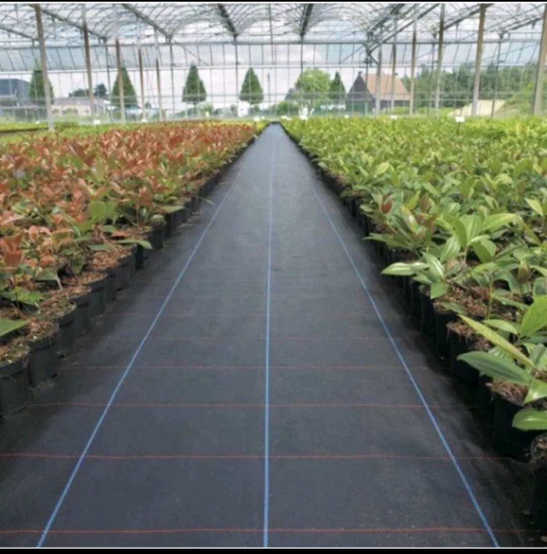 Combo 5m , khổ , 1m ,2m, 3m, 4m bạt phủ chóng cỏ, chống sói mòn đất