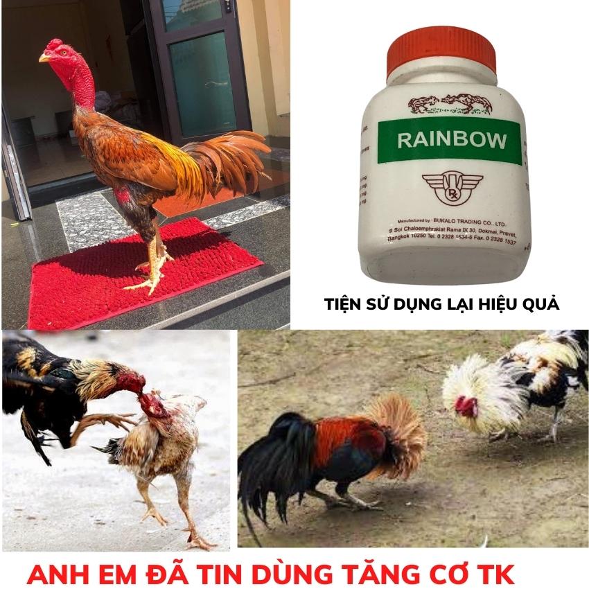 TĂNG CƠ RAINBOW nuôi gà đá lọ 100 viên