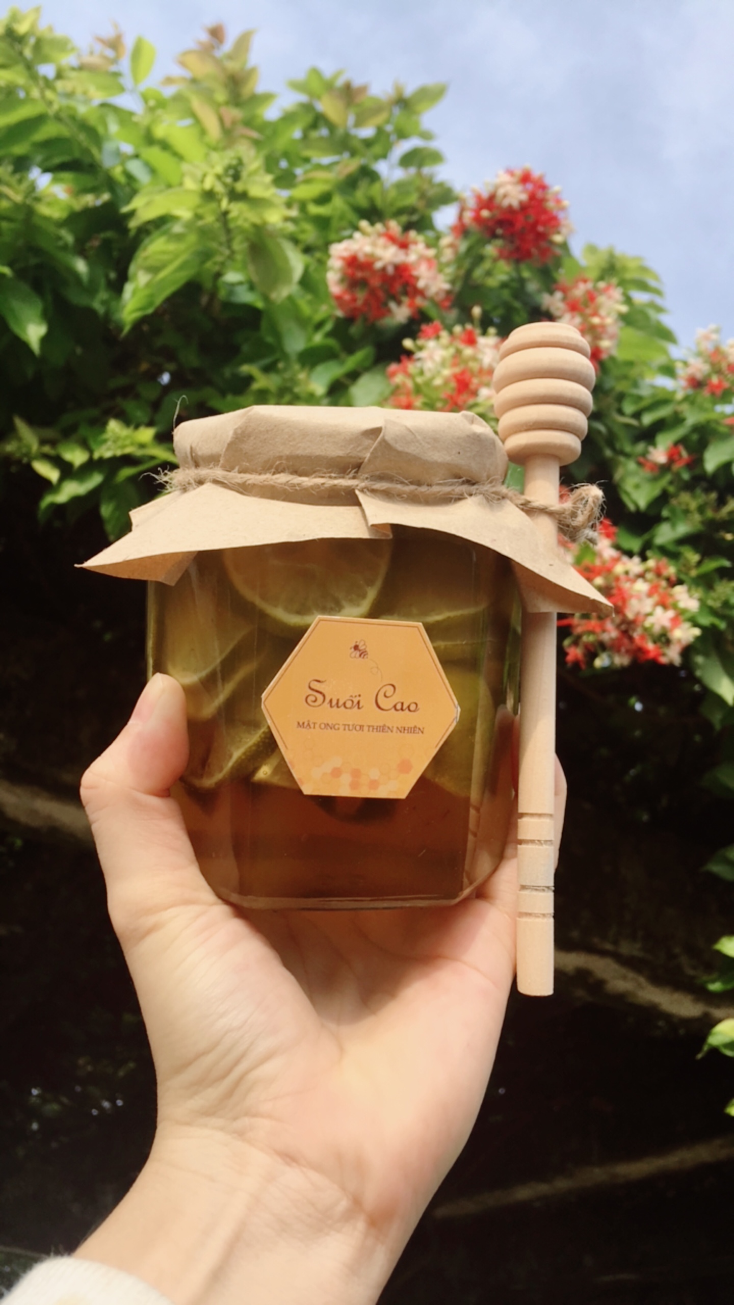 CHANH-NGÂM-MẬT-ONG-ĐƯỜNG-PHÈN-380ML