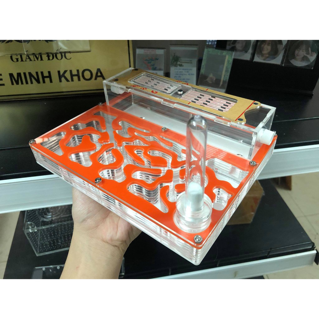 Formicarium acrylic / Tổ nuôi kiến / hộp nuôi kiến 20-15cm
