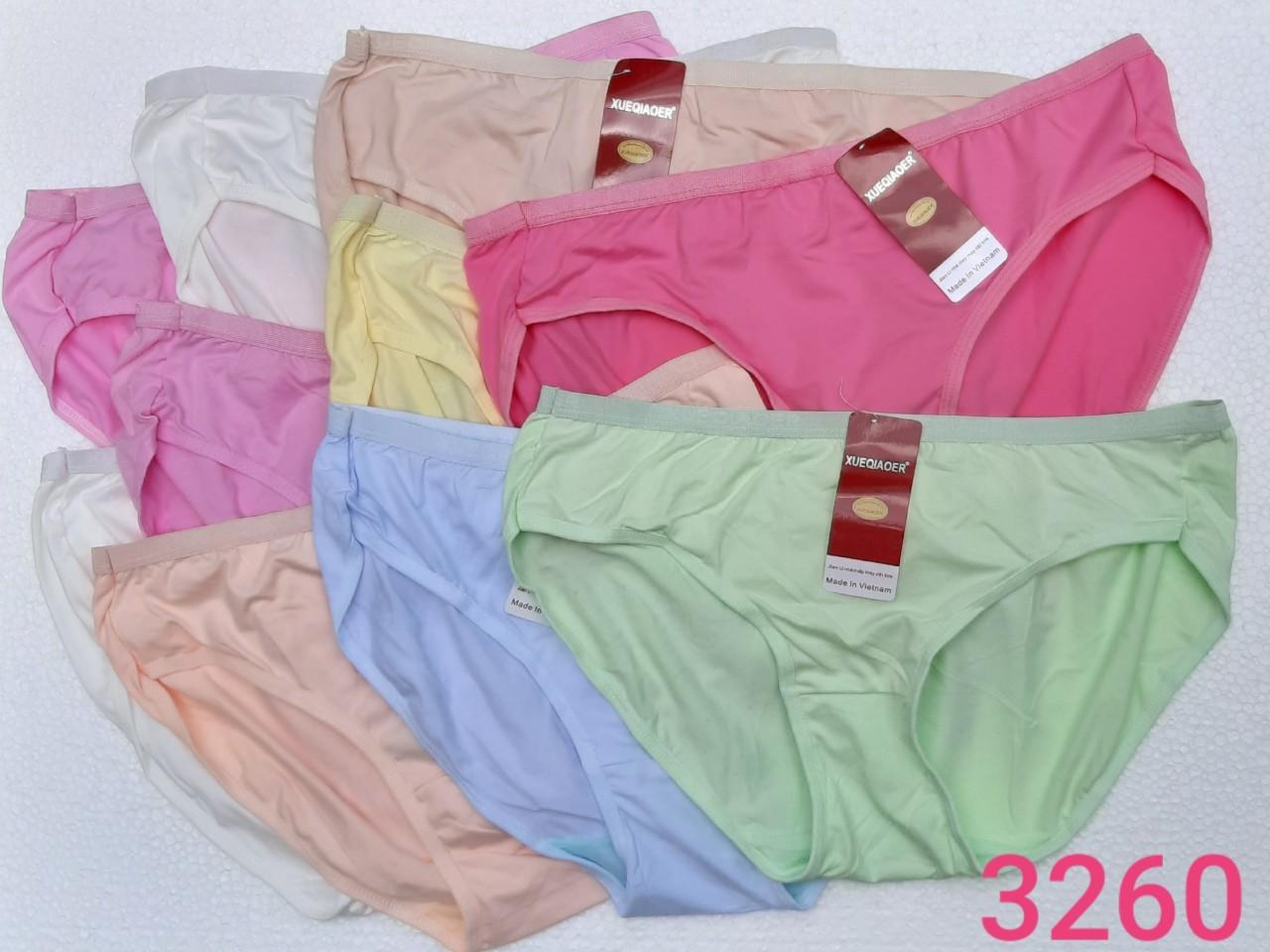 [HCM] 10 Quần lót nữ big size 70 đến 89kg Thun 100% Cotton Cao Cấp mềm mại Dệt Kim Vòng Eo từ 70cm đến 102cm