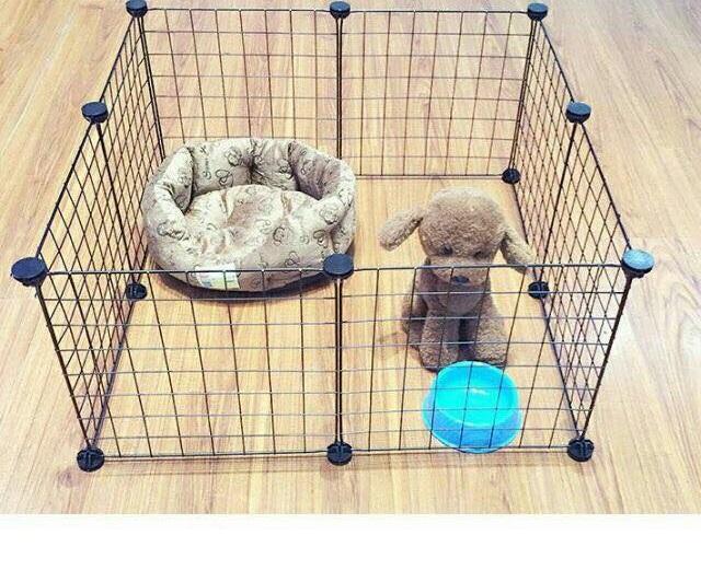 HÀNG RÀO CHO THÚ CƯNG,CHUỒNG QUÂY CHÓ, COMBO 8 TẤM LƯỚI SẮT SƠN TĨNH ĐIỆN LẮP GHÉP GIÁ RẺ, CHUỒNG BÒ SÁT, MÈO,THỎ,SÓC...