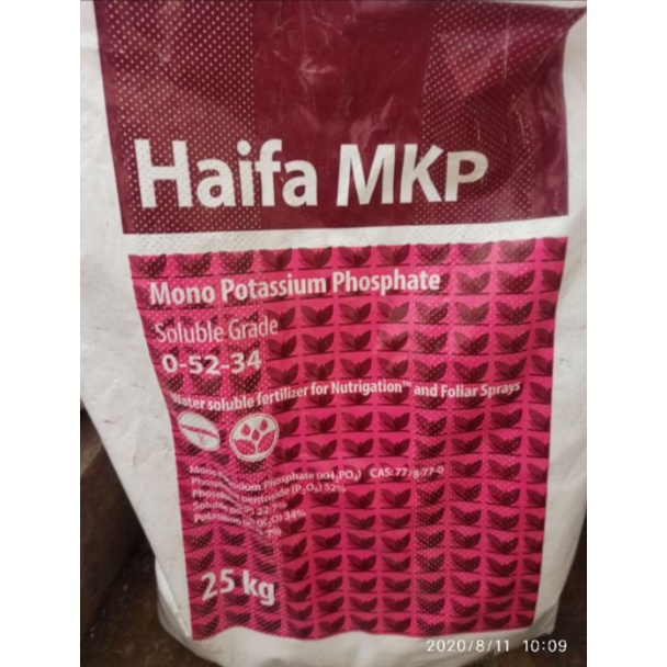 Phân bón MKP haifa