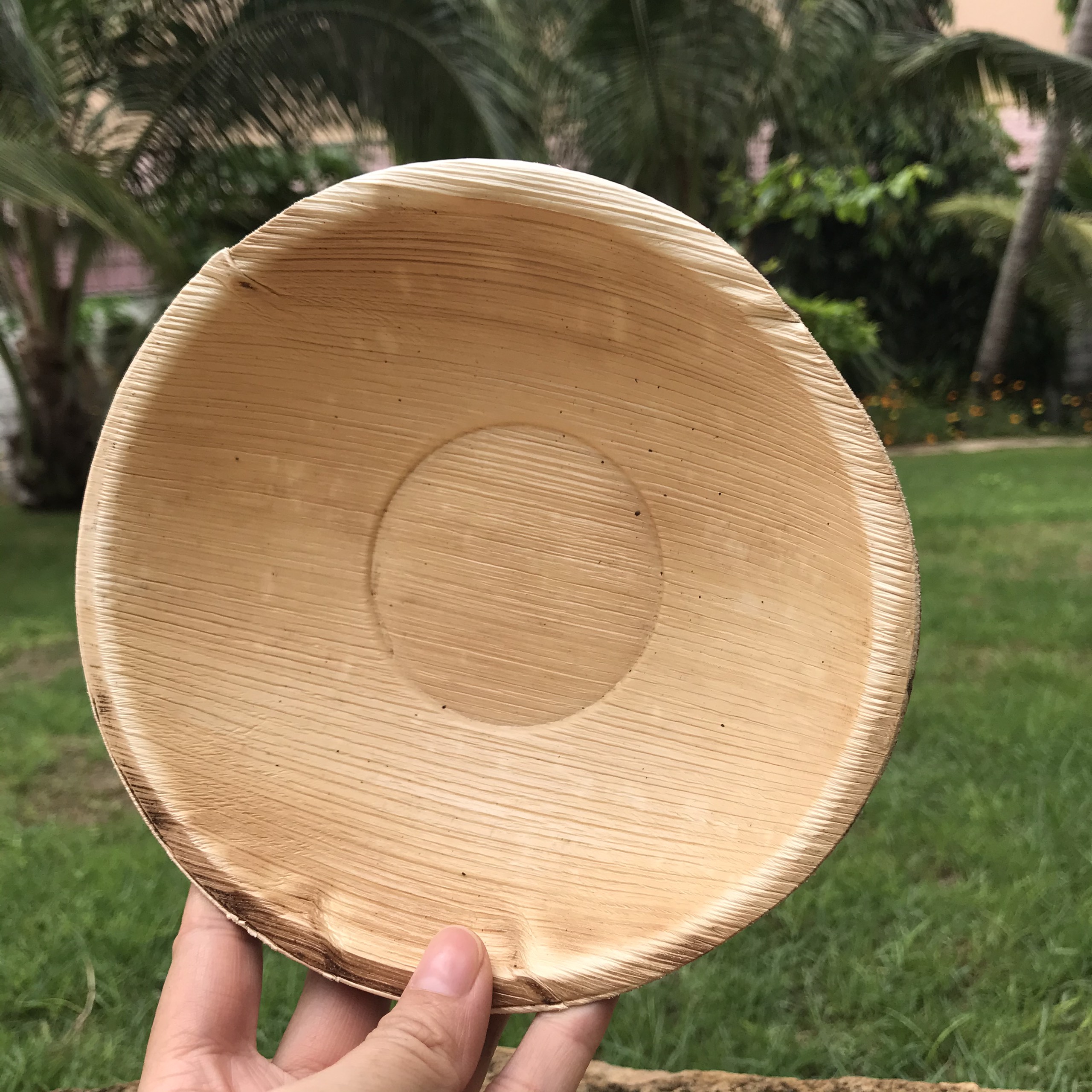 COMBO TIỆN LỢI : CHÉN DĨA MO CAU ĐẸP