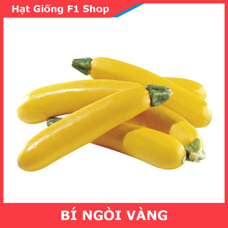 Hạt Giống Bí Ngòi Vàng Ngon Ngọt