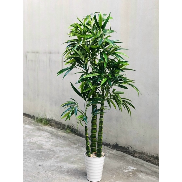 Cây Giả Cây Trúc Phật Bà Cao 1,8M