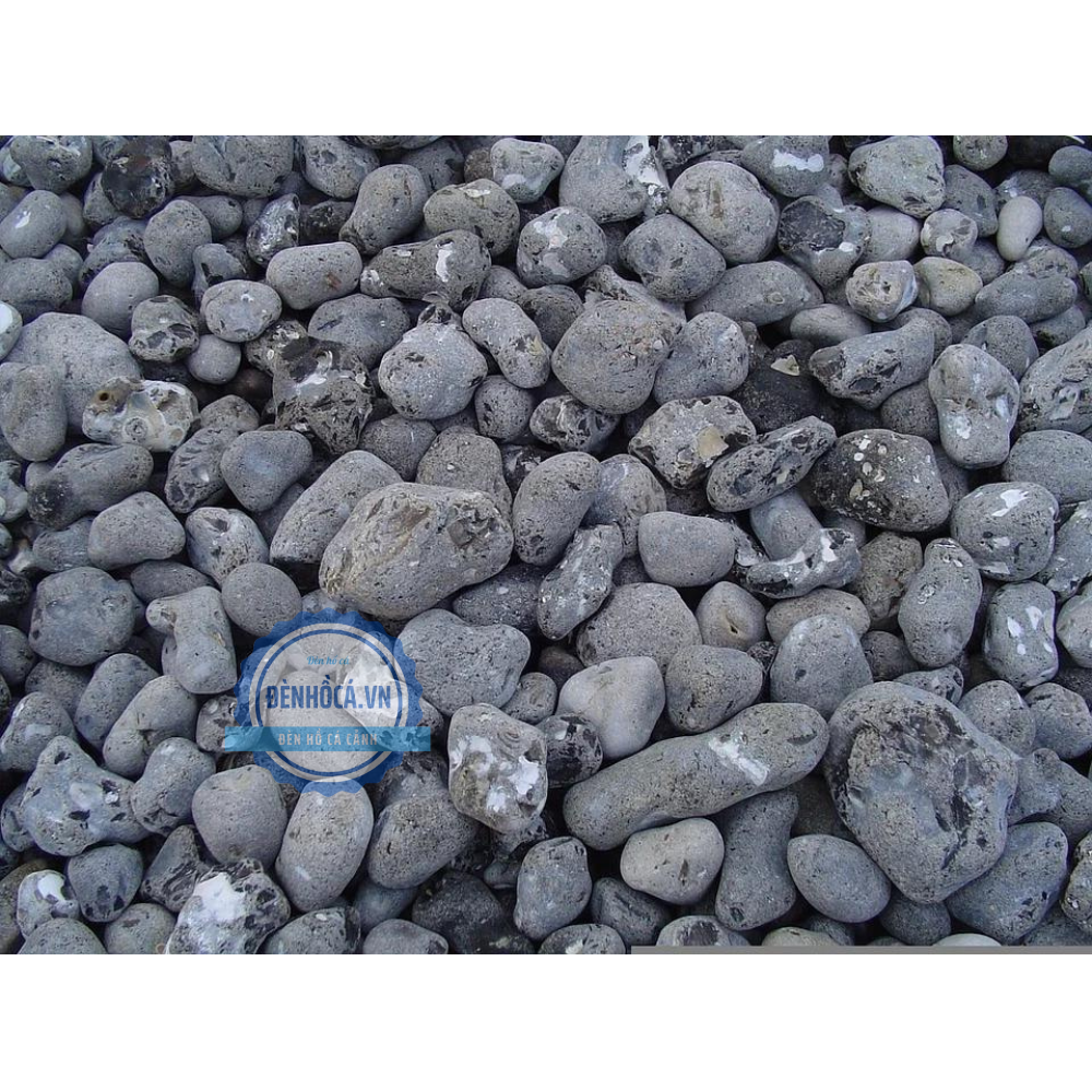 Sỏi trang trí hồ cá mini