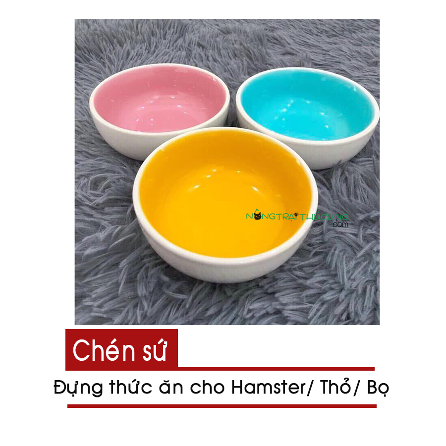 Chén sứ đựng thức ăn cho Hamster, Thỏ, Bọ, Nhím -