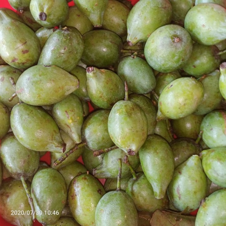 CÂY GIỐNG CÂY QUẢ DỌC NẤU CANH CHUA
