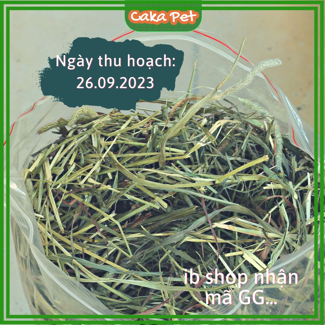 Cỏ khô timothy cho thỏ, chuột lang, bọ ú, chinchilla 🐰𝙇𝙤𝙖̣𝙞 1 𝙩𝙝𝙤̛𝙢 𝙢𝙚̂̀𝙢, 𝙭𝙖𝙣𝙝 𝙣𝙜𝙪𝙮𝙚̂𝙣 𝙘𝙖̂𝙮🐹túi 500gram