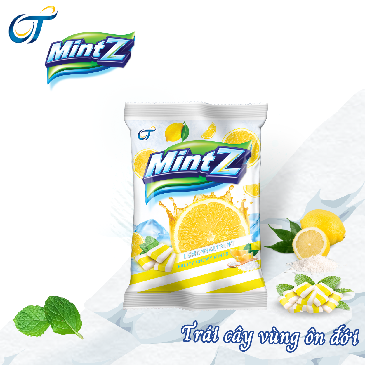 Kẹo mềm bạc hà MintZ vị bạc hà Nho (Grape Mint) / Anh Đào (Cherry Mint)/ Chanh muối (50 viên/túi)