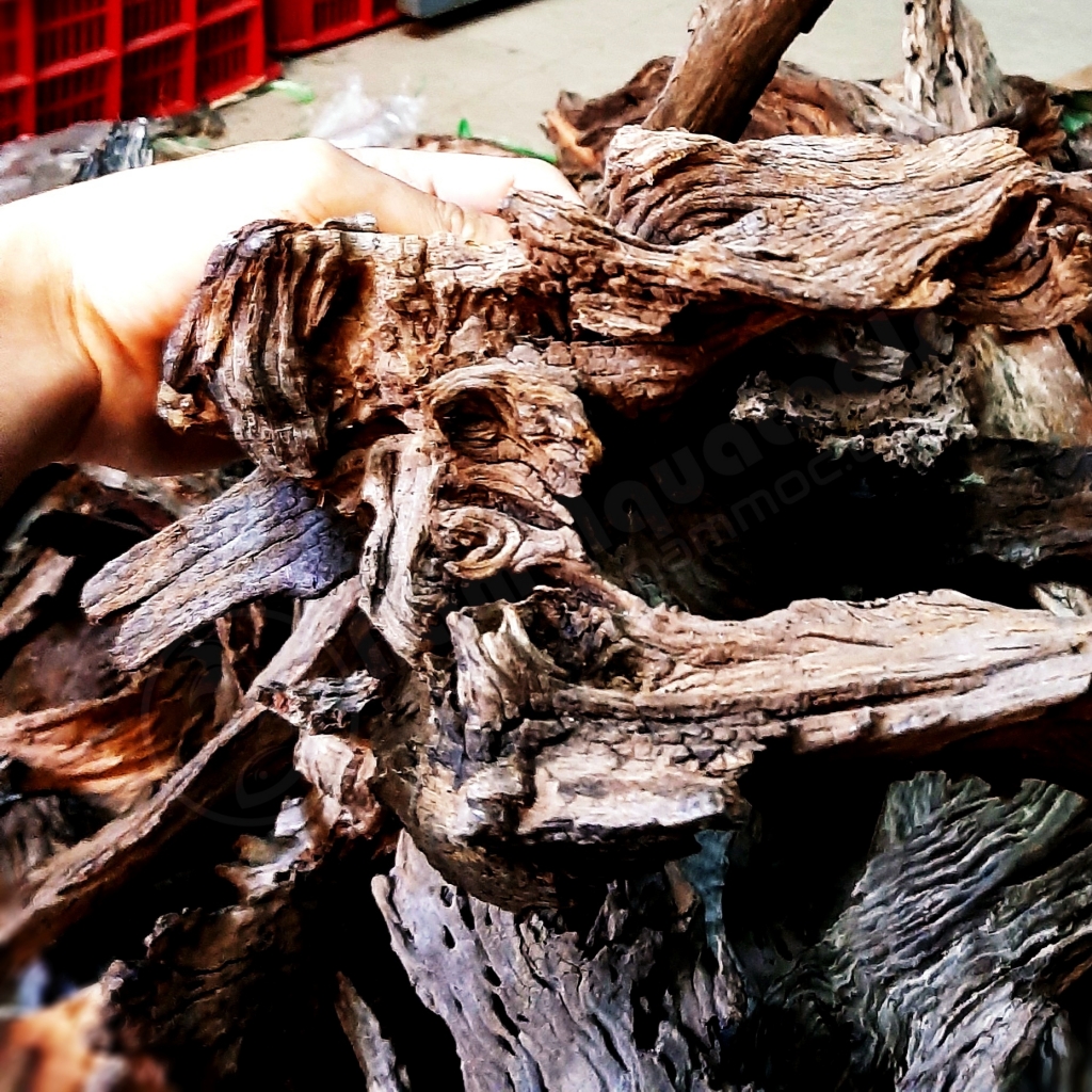 Lũa Săn Đá - Lũa San Đá Miếng [1kG] | Chuyên dùng cho bể cá Thủy Sinh - Vân Lũa Cực Đẹp, Set bể Cực Đã