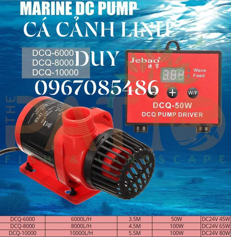 MÁY BƠM HỒ CÁ , MÁY BƠM CHÌM JEBAO DCQ 8000 CHỐNG GIẬT CHỐNG RÒ ĐIỆN 65W