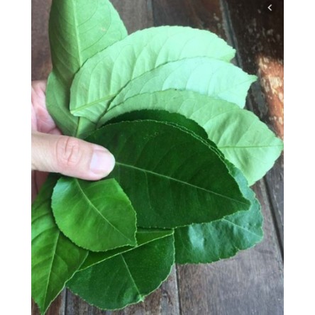 1kg lá bưởi khô hàng looại 1