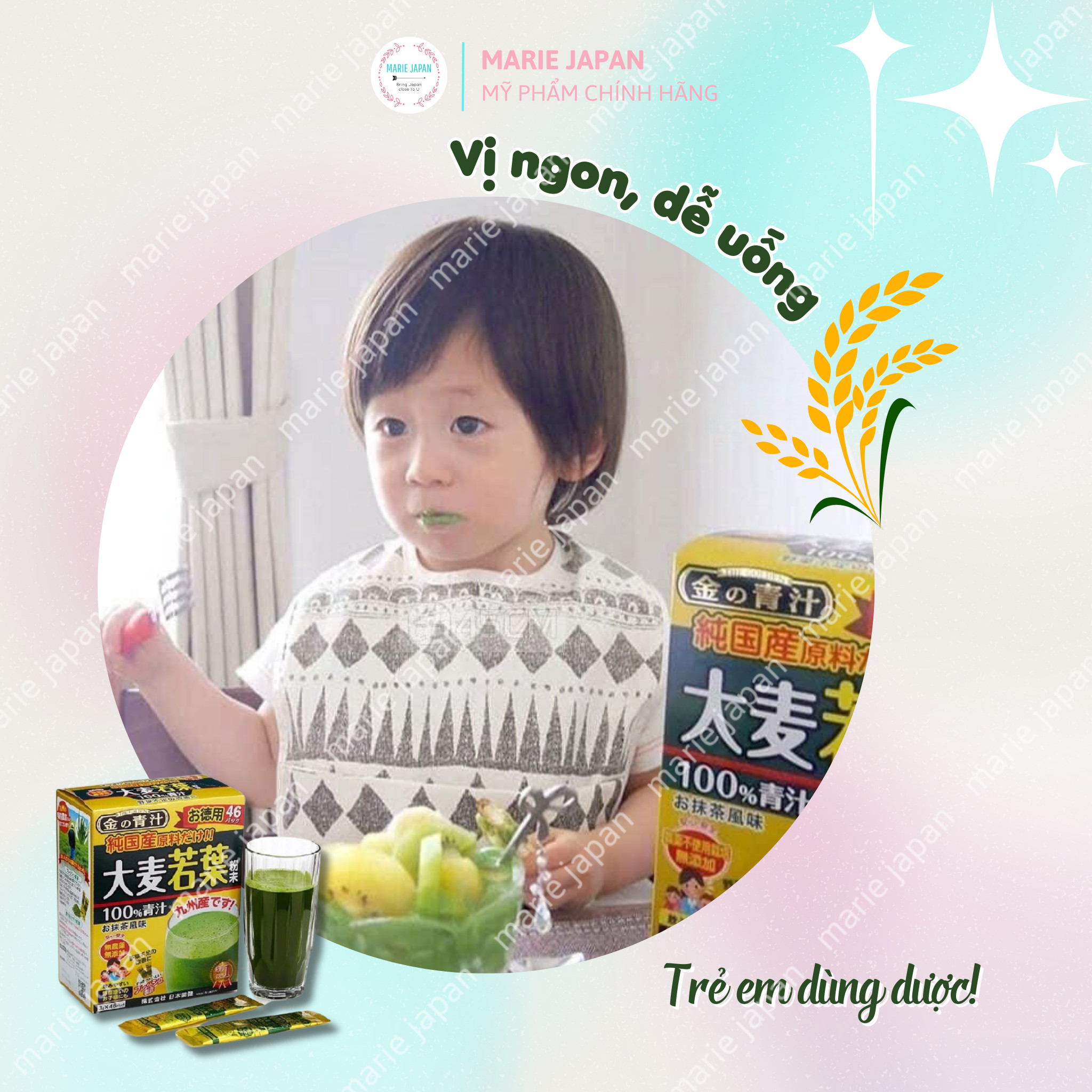 HỘP LỚN - Bột Lúa Mạch Non Grass Barley Nhật Bản