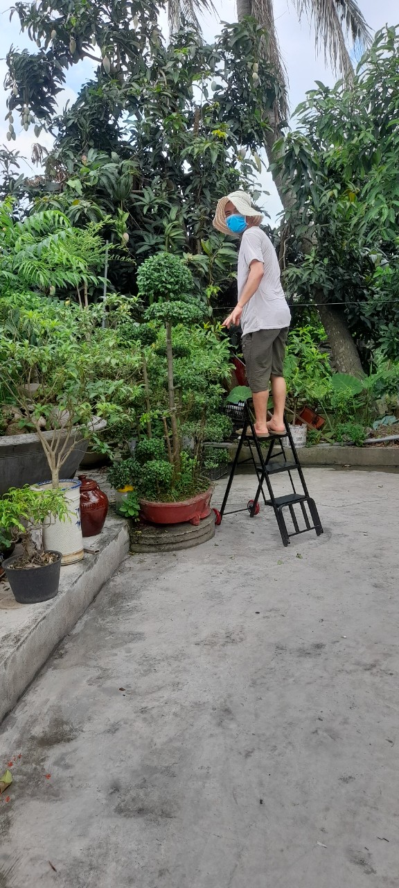 Ghế thang 3 bậc gấp gọn siêu bền